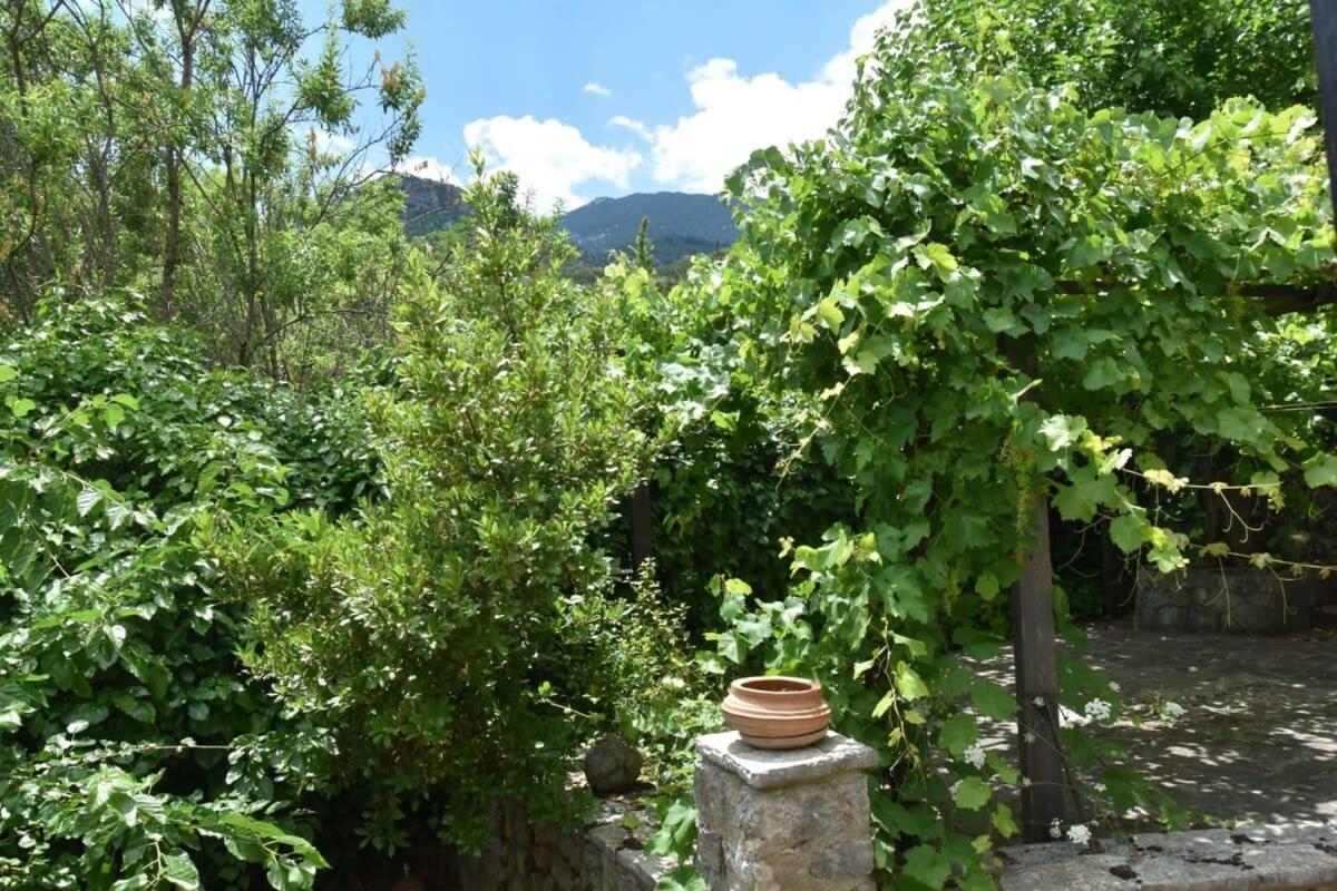 Mariolata Vintage Stone Villa - 4 Season Escape Экстерьер фото